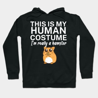 This is my human costume. I'm really a hamster. Hoodie